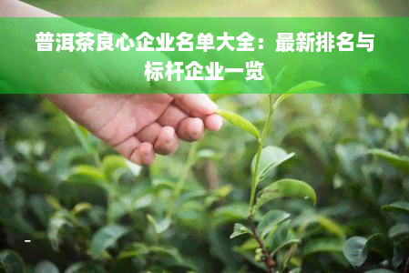 普洱茶良心企业名单大全：最新排名与标杆企业一览