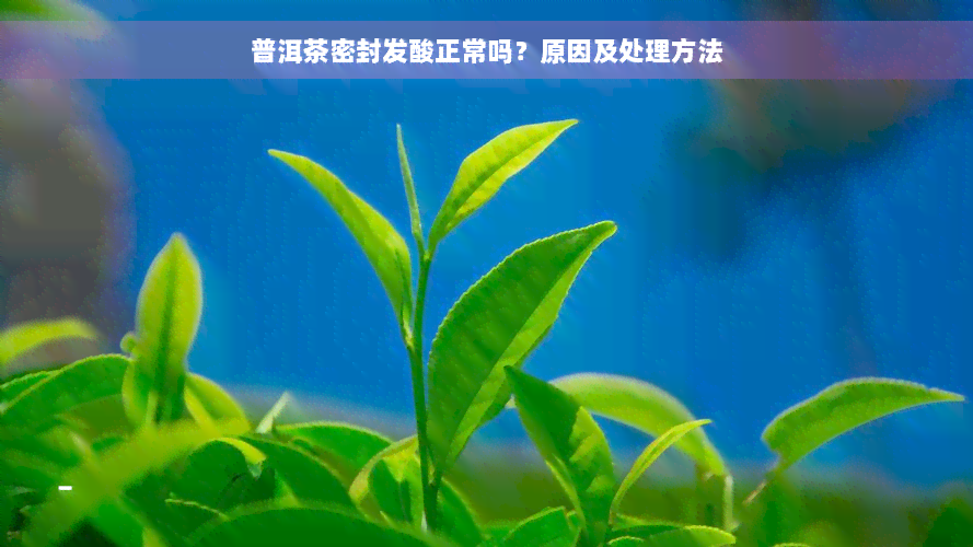 普洱茶密封发酸正常吗？原因及处理方法