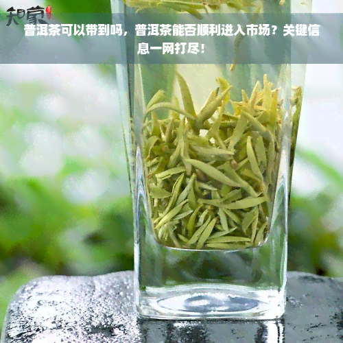 普洱茶可以带到吗，普洱茶能否顺利进入市场？关键信息一网打尽！