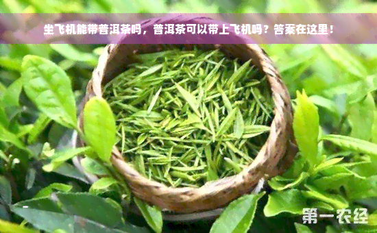 坐飞机能带普洱茶吗，普洱茶可以带上飞机吗？答案在这里！