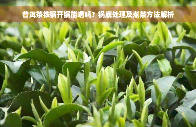 普洱茶铁锅开锅能喝吗？锅底处理及煮茶方法解析