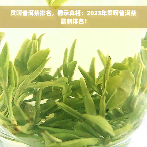 贡嘎普洱茶排名，揭示真相：2023年贡嘎普洱茶最新排名！