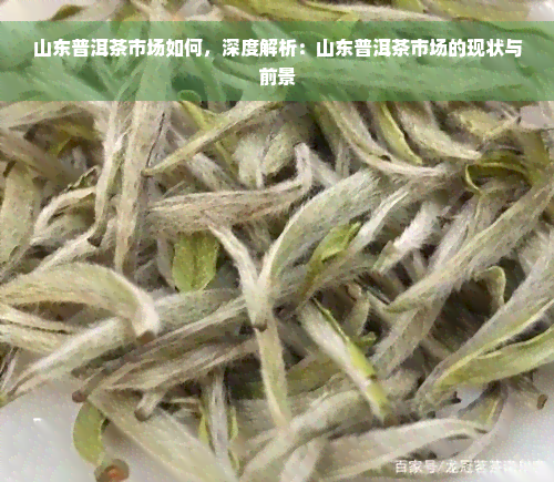 山东普洱茶市场如何，深度解析：山东普洱茶市场的现状与前景