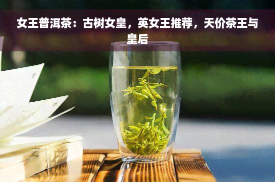 女王普洱茶：古树女皇，英女王推荐，天价茶王与皇后