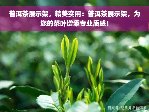 普洱茶展示架，精美实用：普洱茶展示架，为您的茶叶增添专业质感！