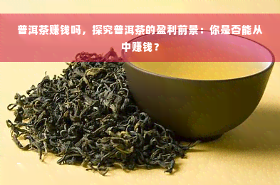 普洱茶赚钱吗，探究普洱茶的盈利前景：你是否能从中赚钱？