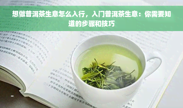 想做普洱茶生意怎么入行，入门普洱茶生意：你需要知道的步骤和技巧