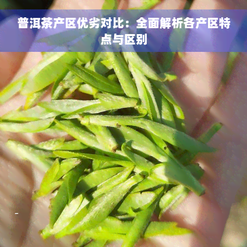 普洱茶产区优劣对比：全面解析各产区特点与区别