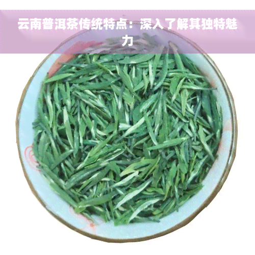 云南普洱茶传统特点：深入了解其独特魅力