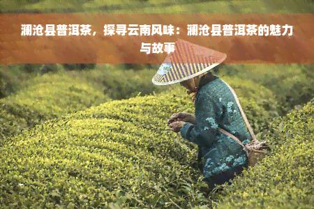 澜沧县普洱茶，探寻云南风味：澜沧县普洱茶的魅力与故事