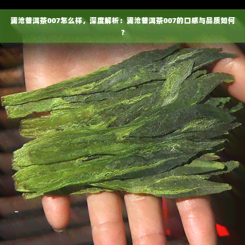 澜沧普洱茶007怎么样，深度解析：澜沧普洱茶007的口感与品质如何？