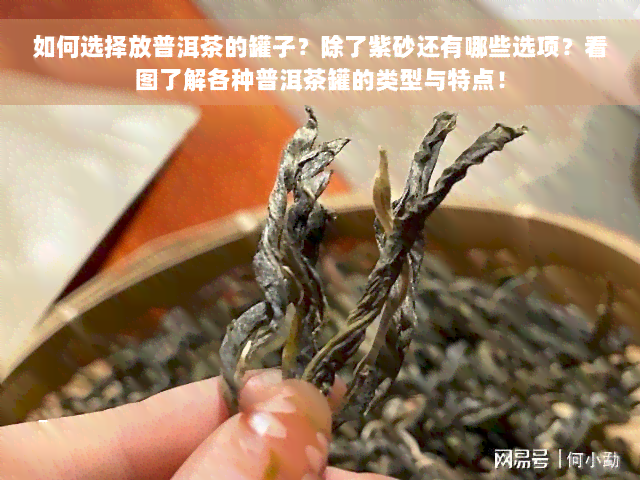 如何选择放普洱茶的罐子？除了紫砂还有哪些选项？看图了解各种普洱茶罐的类型与特点！