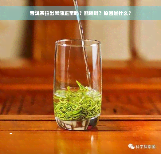 普洱茶拉出黑油正常吗？能喝吗？原因是什么？