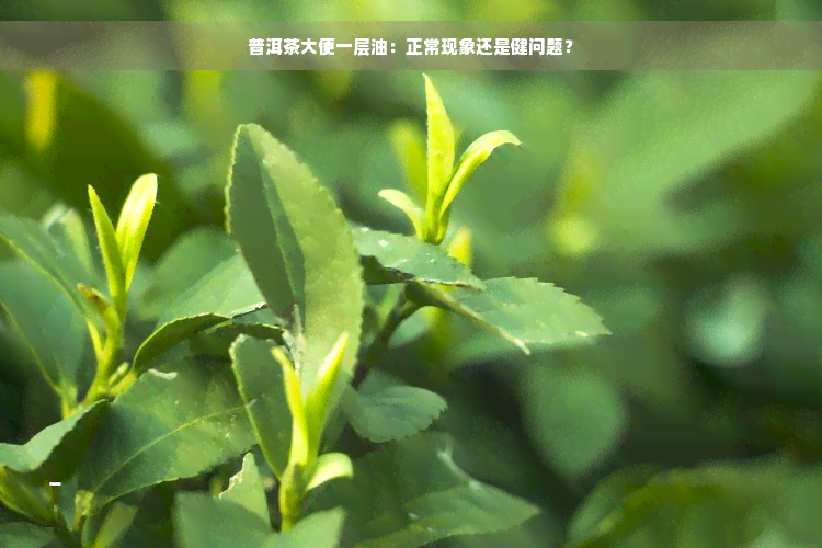 普洱茶大便一层油：正常现象还是健问题？