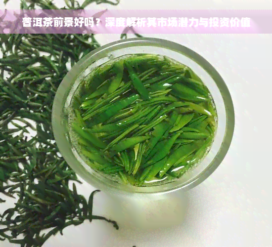 普洱茶前景好吗？深度解析其市场潜力与投资价值