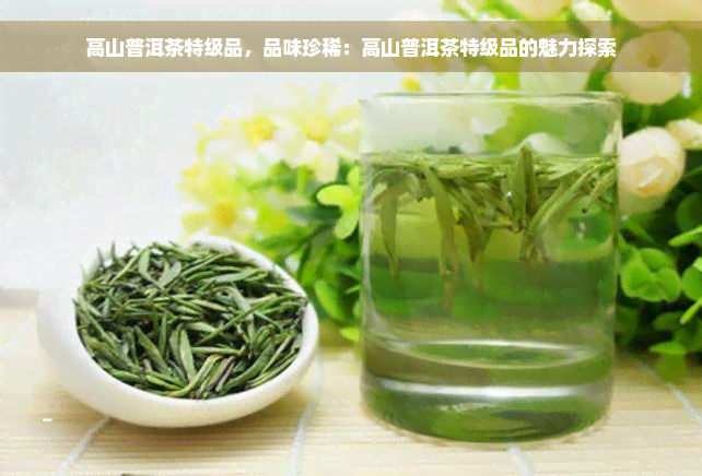 高山普洱茶特级品，品味珍稀：高山普洱茶特级品的魅力探索