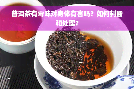 普洱茶有霉味对身体有害吗？如何判断和处理？