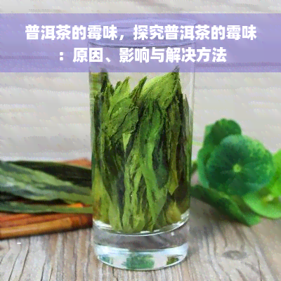 普洱茶的霉味，探究普洱茶的霉味：原因、影响与解决方法