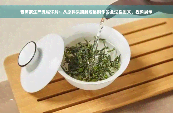 普洱茶生产流程详解：从原料采摘到成品制作的全过程图文、视频展示