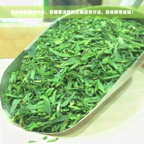 普洱茶的浸泡方法，掌握普洱茶的正确浸泡方法，品味醇厚滋味！