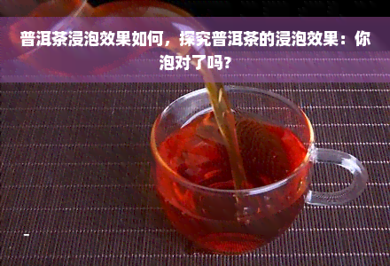 普洱茶浸泡效果如何，探究普洱茶的浸泡效果：你泡对了吗？