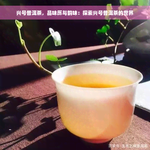 兴号普洱茶，品味历与韵味：探索兴号普洱茶的世界