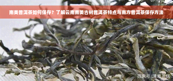 南美普洱茶如何保存？了解云南南美古树普洱茶特点与南方普洱茶保存方法