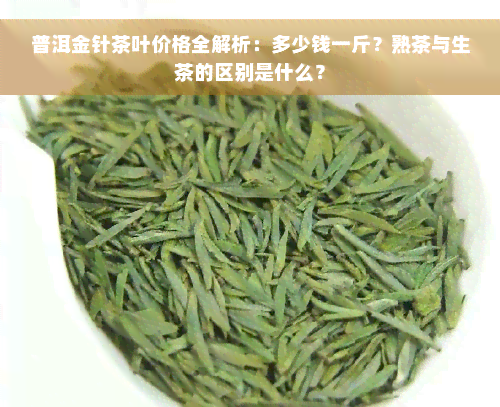 普洱金针茶叶价格全解析：多少钱一斤？熟茶与生茶的区别是什么？