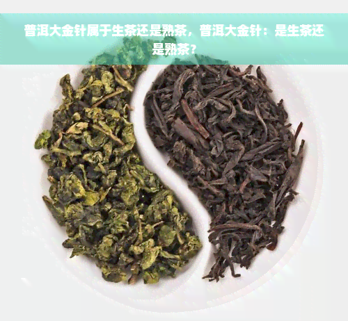 普洱大金针属于生茶还是熟茶，普洱大金针：是生茶还是熟茶？