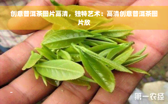 创意普洱茶图片高清，独特艺术：高清创意普洱茶图片欣