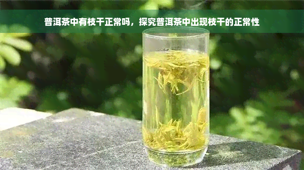 普洱茶中有枝干正常吗，探究普洱茶中出现枝干的正常性