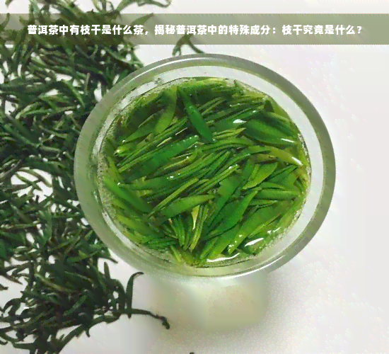 普洱茶中有枝干是什么茶，揭秘普洱茶中的特殊成分：枝干究竟是什么？