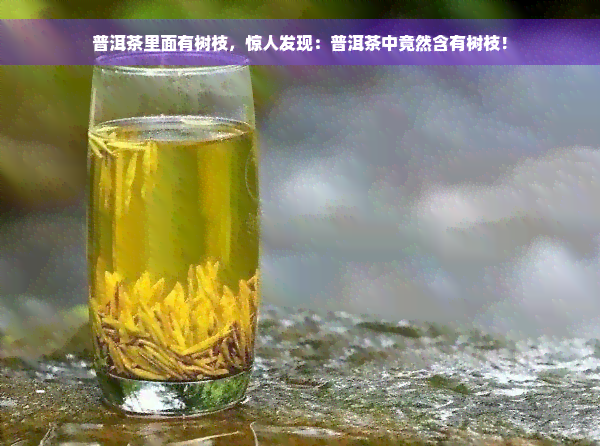 普洱茶里面有树枝，惊人发现：普洱茶中竟然含有树枝！