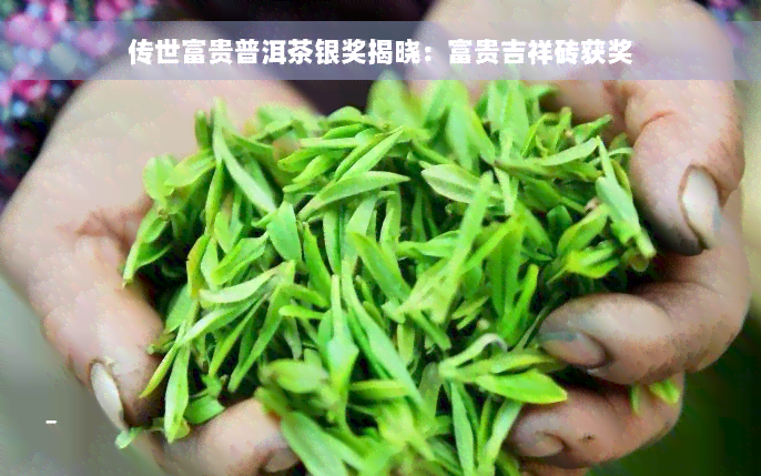 传世富贵普洱茶银奖揭晓：富贵吉祥砖获奖