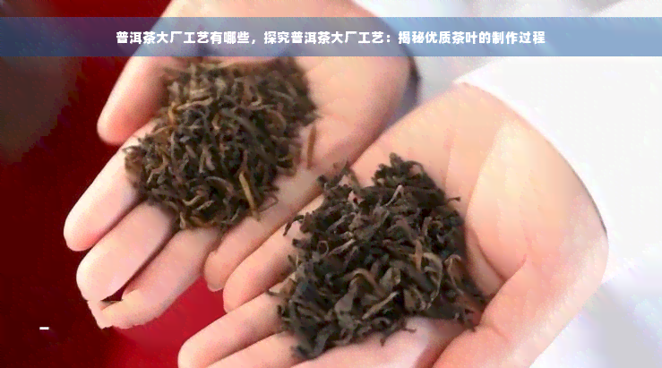 普洱茶大厂工艺有哪些，探究普洱茶大厂工艺：揭秘优质茶叶的制作过程