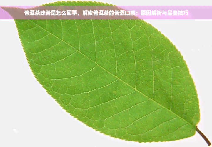 普洱茶味苦是怎么回事，解密普洱茶的苦涩口感：原因解析与品鉴技巧