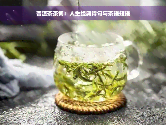 普洱茶茶词：人生经典诗句与茶语短语