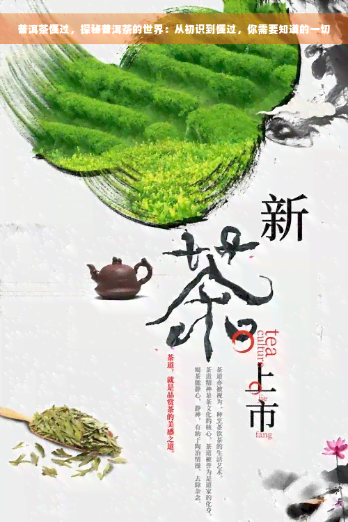 普洱茶懂过，探秘普洱茶的世界：从初识到懂过，你需要知道的一切