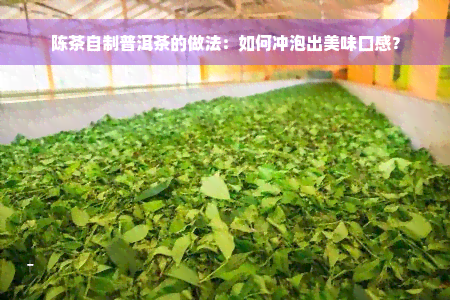 陈茶自制普洱茶的做法：如何冲泡出美味口感？