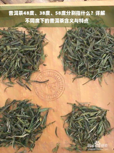 普洱茶48度、38度、58度分别指什么？详解不同度下的普洱茶含义与特点