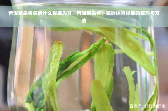 普洱茶杀青杀到什么程度为宜，普洱茶杀青：掌握适宜程度的技巧与方法