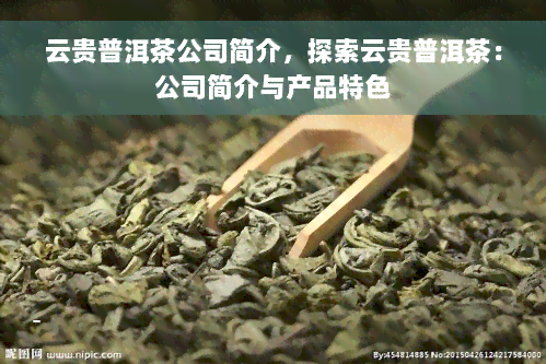 云贵普洱茶公司简介，探索云贵普洱茶：公司简介与产品特色