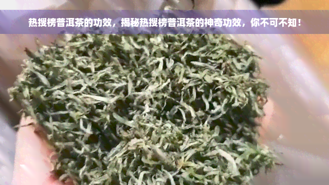 热搜榜普洱茶的功效，揭秘热搜榜普洱茶的神奇功效，你不可不知！