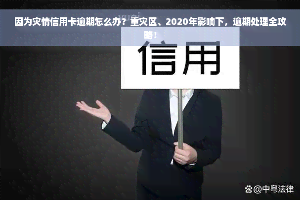 因为灾情信用卡逾期怎么办？重灾区、2020年影响下，逾期处理全攻略！