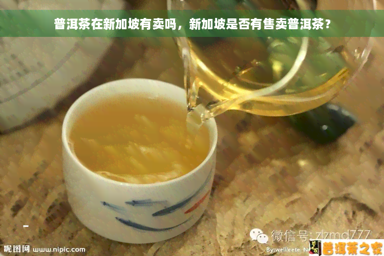 普洱茶在新加坡有卖吗，新加坡是否有售卖普洱茶？