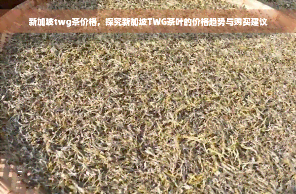 新加坡twg茶价格，探究新加坡TWG茶叶的价格趋势与购买建议