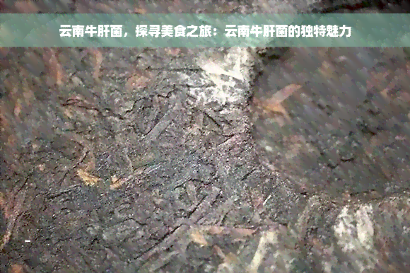 云南牛肝菌，探寻美食之旅：云南牛肝菌的独特魅力