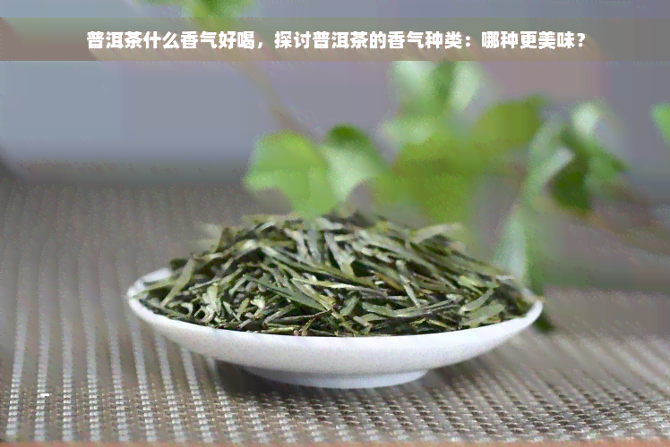 普洱茶什么香气好喝，探讨普洱茶的香气种类：哪种更美味？