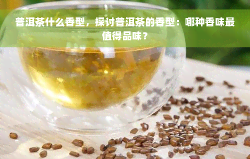 普洱茶什么香型，探讨普洱茶的香型：哪种香味最值得品味？