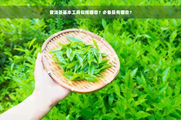 普洱茶基本工具包括哪些？必备品有哪些？